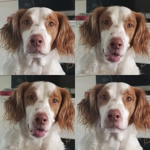 Meet your Posher, Yukiko